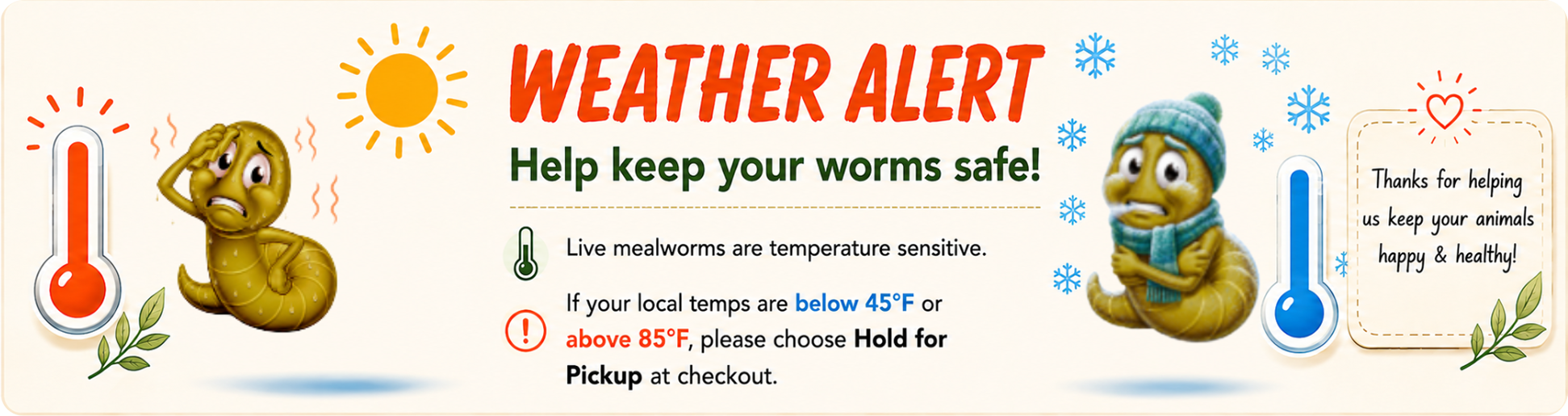 Live Mealworms